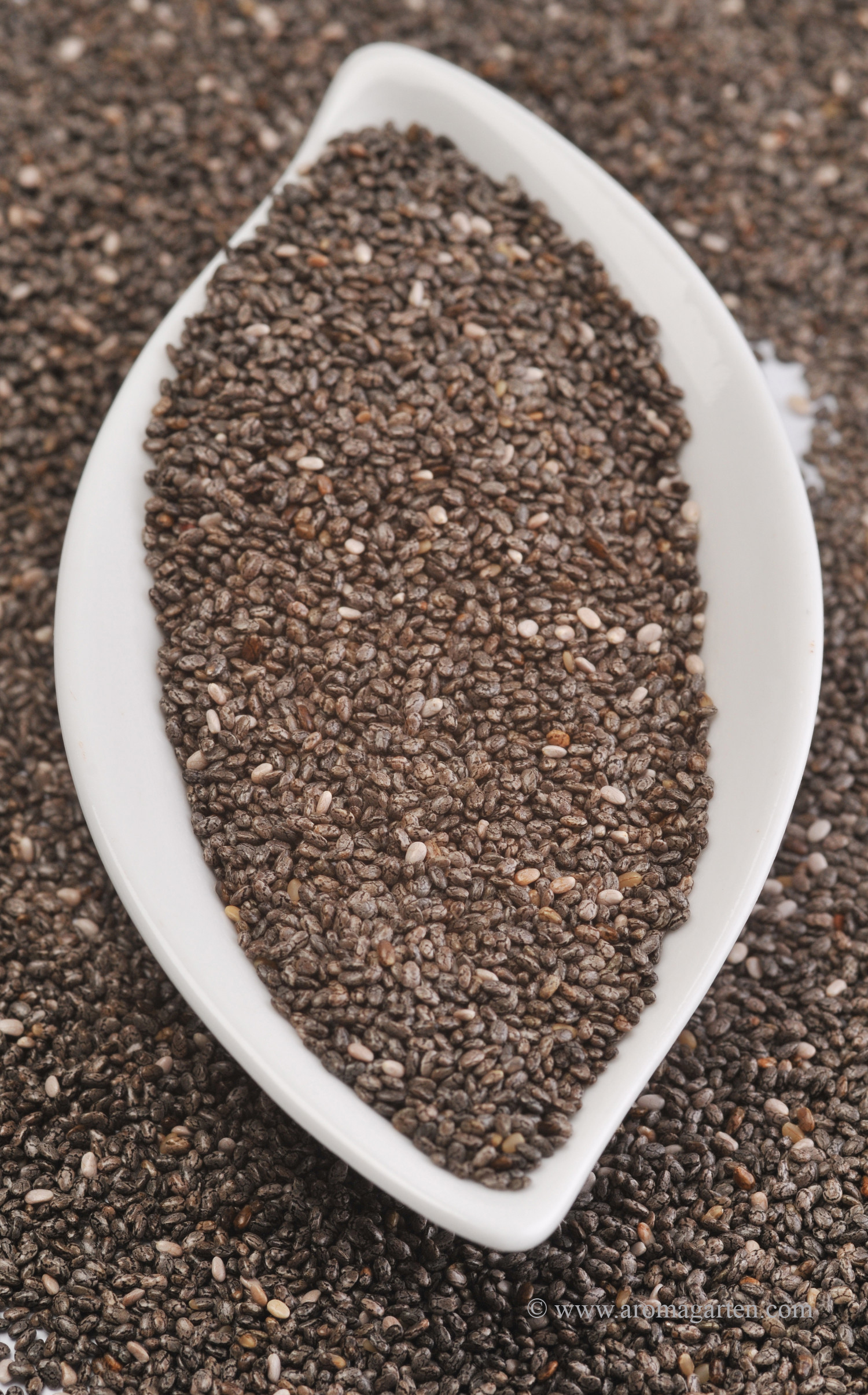 Bio Chia Samen