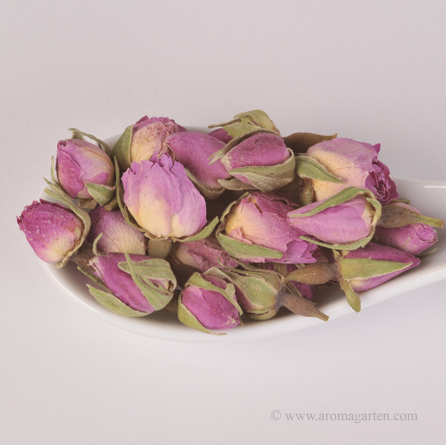 Rosenknospen kaufen