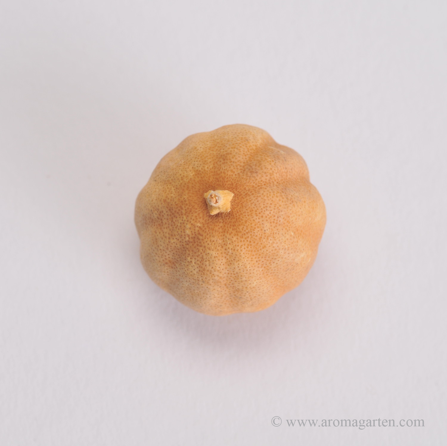 kleine Limonen